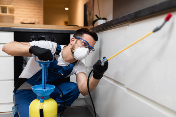 Best Exterminator Services  in Santee, SC