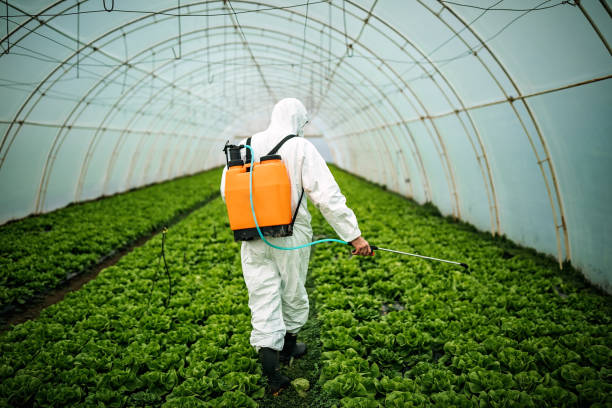 Best Emergency Pest Control  in Santee, SC