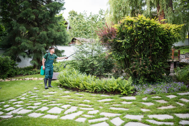 Best Ant Control Services  in Santee, SC
