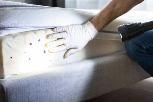 Best Rat Extermination Near Me  in Santee, SC