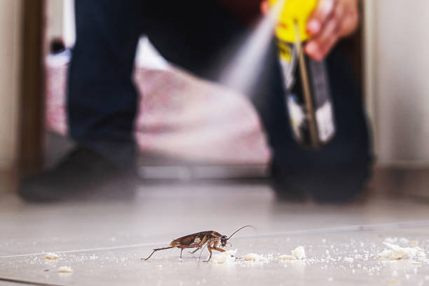 Best Emergency Pest Control  in Santee, SC
