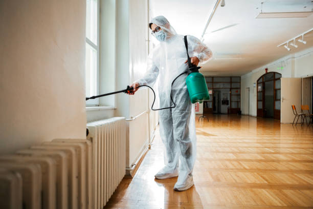Best Flea Control Services  in Santee, SC