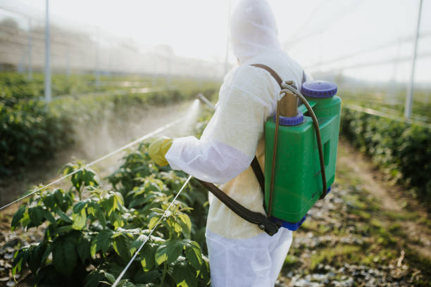 Best Affordable Pest Control Services  in Santee, SC